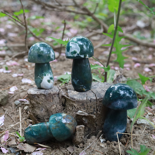 Moss agate mushroom